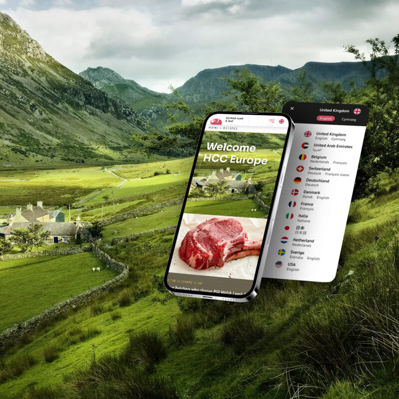 Website design, development and more.